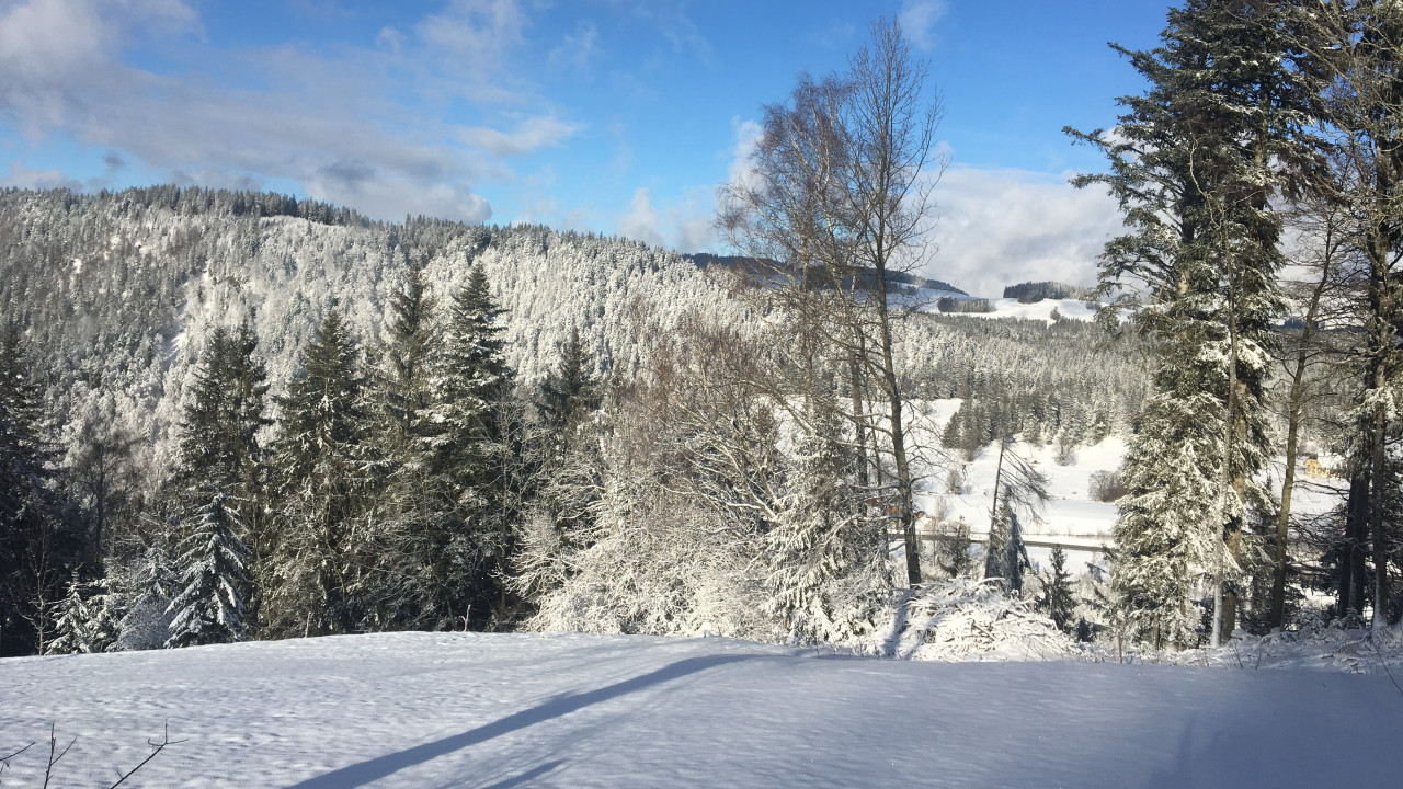 Vom Konflikt zur Verständigung und Kooperation – Intensiv-Einführung in die Gewaltfreie Kommunikation nach Marshall Rosenberg