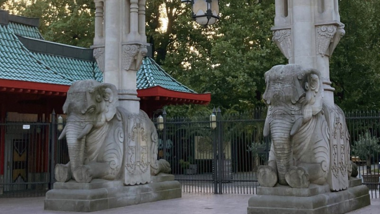 Der deutsche Kolonialismus und seine Nachwirkungen