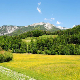 Nationalpark Kalkalpen - Modellregion für nachhaltige Entwicklung