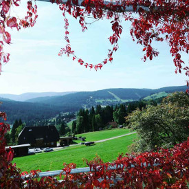 Kommunikation, Führung und Selbstmanagement