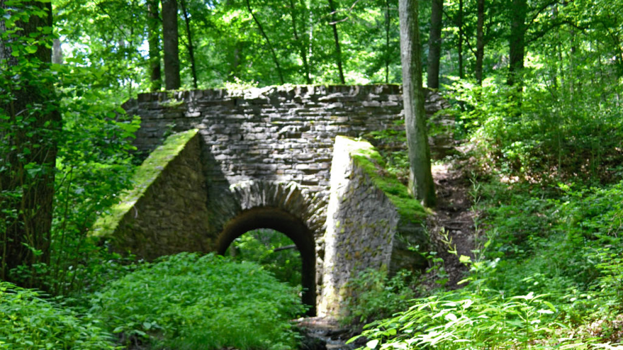 Rückengesundheit und Stressbewältigung mit Qigong