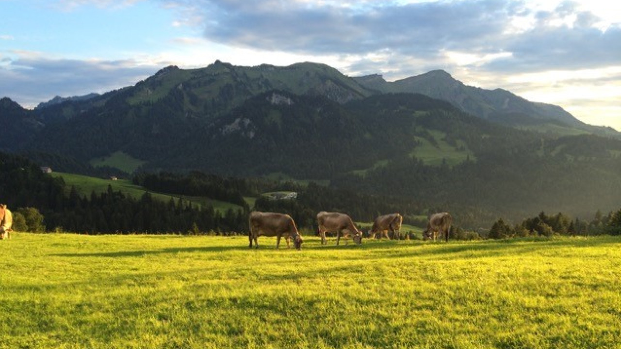 Modellregion Bregenzerwald – zukunftsfähiger Klima- und Naturschutz in Vorarlberg