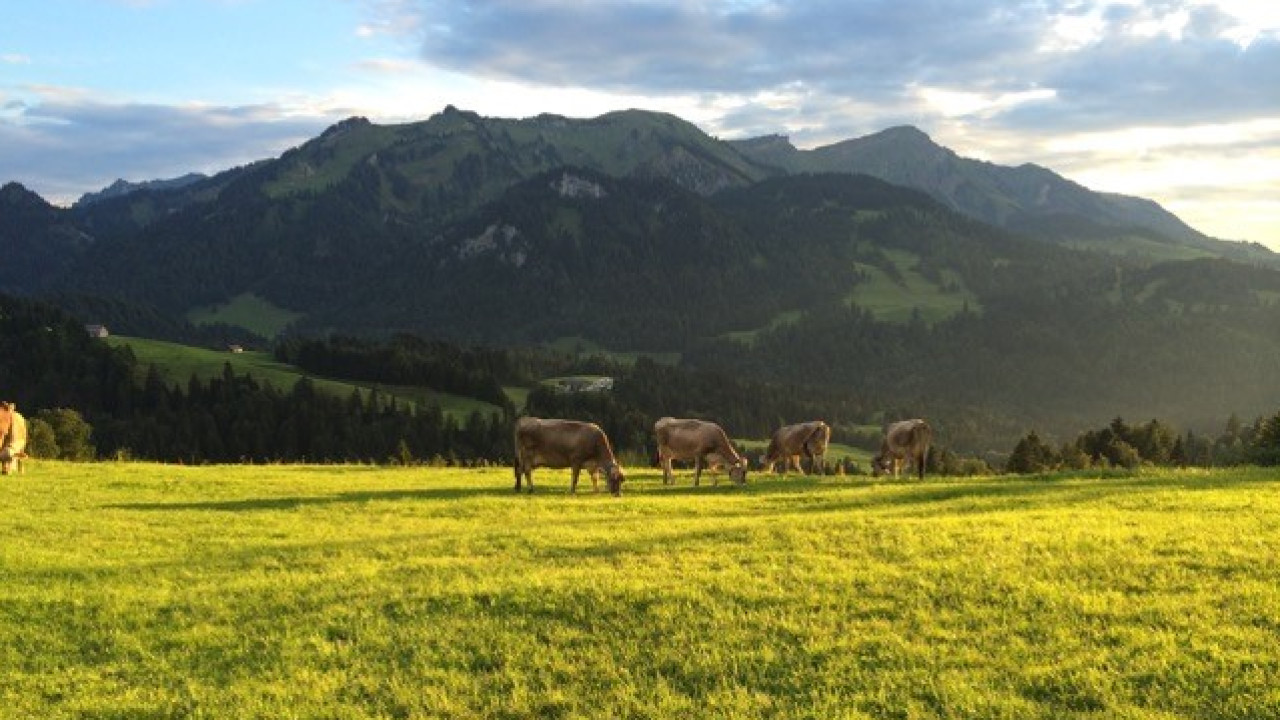 Klimaanpassungsregion Bregenzerwald – enkeltaugliche Strategien in den Alpen