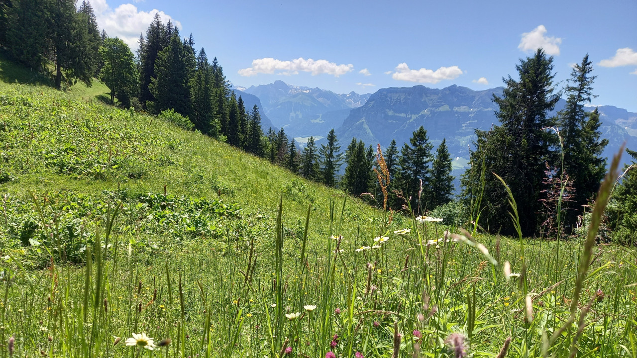 Klimaanpassungsregion Bregenzerwald – enkeltaugliche Strategien in den Alpen