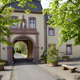 Gewaltfreie Kommunikation - Achtsamkeit und Selbstmanagement