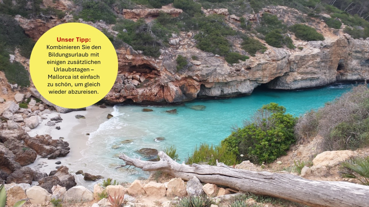 Innere Stärke entfalten und Verbindung leben