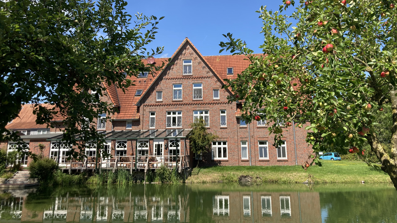 „Speed“-Focusing - spielend leicht zur stimmigen Balance im vollen Arbeitsalltag