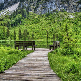 Ikigai – Sinn, Motivation und Erfüllung für die moderne Arbeitswelt