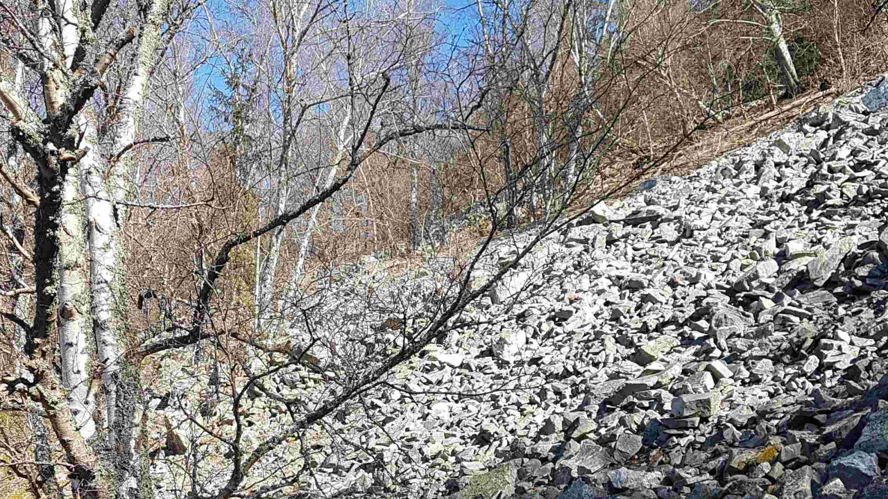 Nationalpark Hunsrück-Hochwald - ein länderübergreifendes Großschutzgebiet