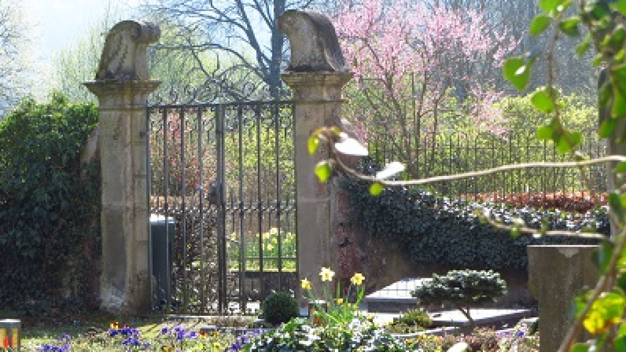 Vital und Dynamisch mit Qi-Fa-Yo und visueller Fitness in Beruf und Alltag