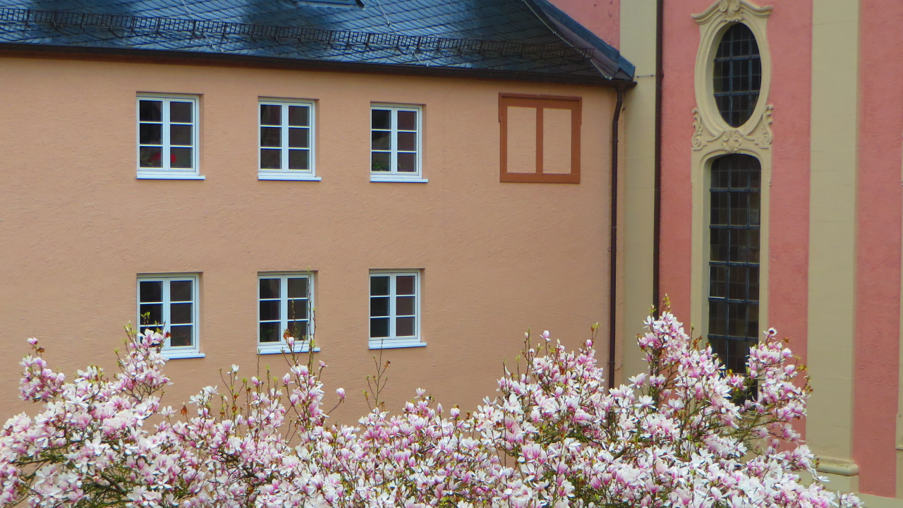 Vital und Dynamisch mit Qi-Fa-Yo und visueller Fitness in Beruf und Alltag