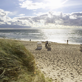 Kommunikation, Führung und Selbstmanagement