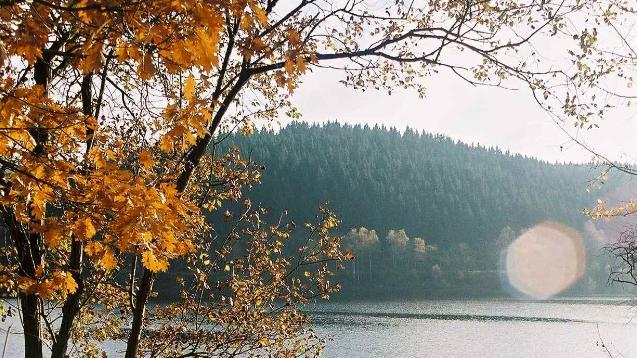 Nationalpark Harz - Schutz für die einzigartige Wald-Landschaft am Brocken