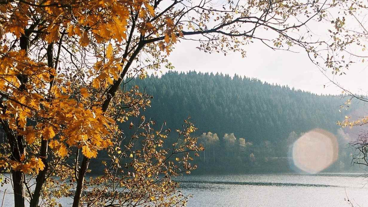 Nationalpark Harz - Schutz für die einzigartige Wald-Landschaft am Brocken