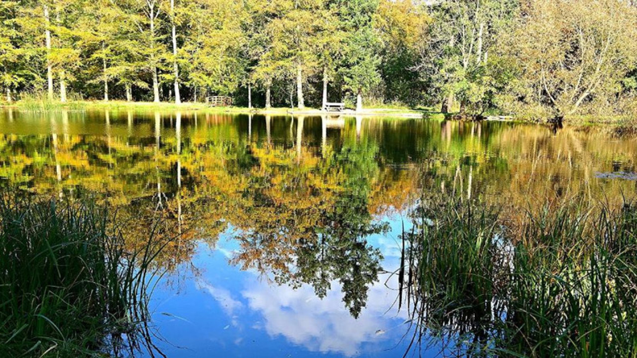 Nationalpark Harz - Schutz für die einzigartige Wald-Landschaft am Brocken