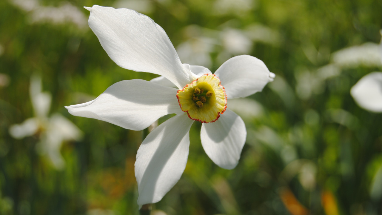 Nationalpark Kalkalpen - Modellregion für nachhaltige Entwicklung