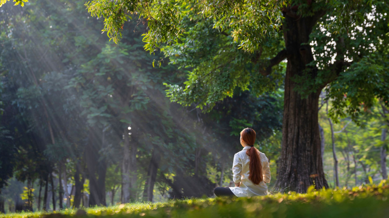 Erhöhte Neurosensitivität - hochsensibel und stark im Beruf