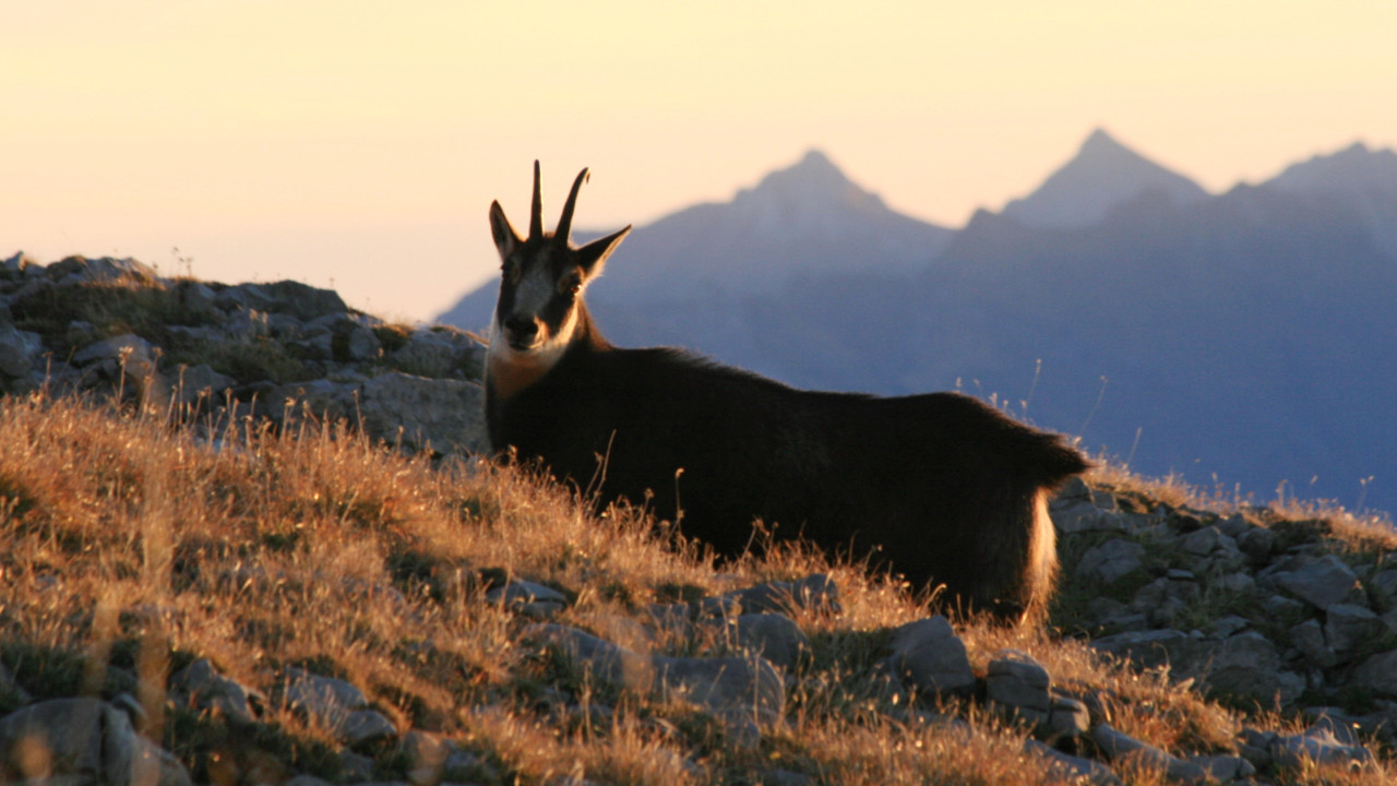 Grenzregion Kleinwalsertal – ein alpines Hochtal sucht (s)einen Weg