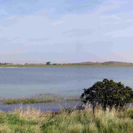 Rückengesundheit und Stressbewältigung mit Qigong