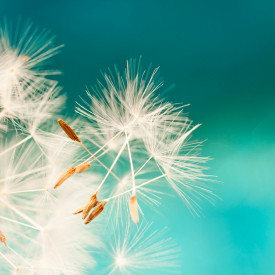 Italienische Woche auf Sardinien
