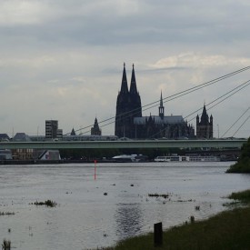 Köln zwischen Großstadt, Naturschutz und Nachhaltigkeit