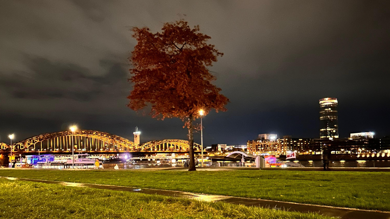 Köln zwischen Großstadt, Naturschutz und Nachhaltigkeit
