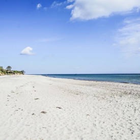Gesundheit von innen heraus – tanken Sie positive Energie mit Yoga, Meditation, Atemtechniken und Körperarbeit