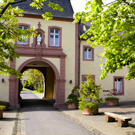 Eine neurowissenschaftliche Reise zu mehr innerer Balance