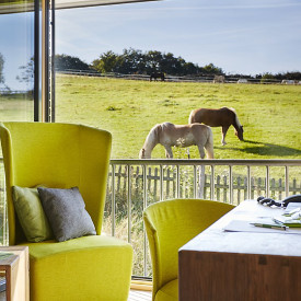 Strahlend ich - Der Weg zu Selbstbewusstsein, Präsenz und innerer Stärke