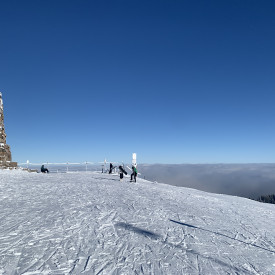 Mehr Balance und Energie im Berufsalltag durch Yoga, Qigong und die fünf Elemente.