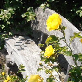 Stressbewältigung nach Jon Kabat-Zinn