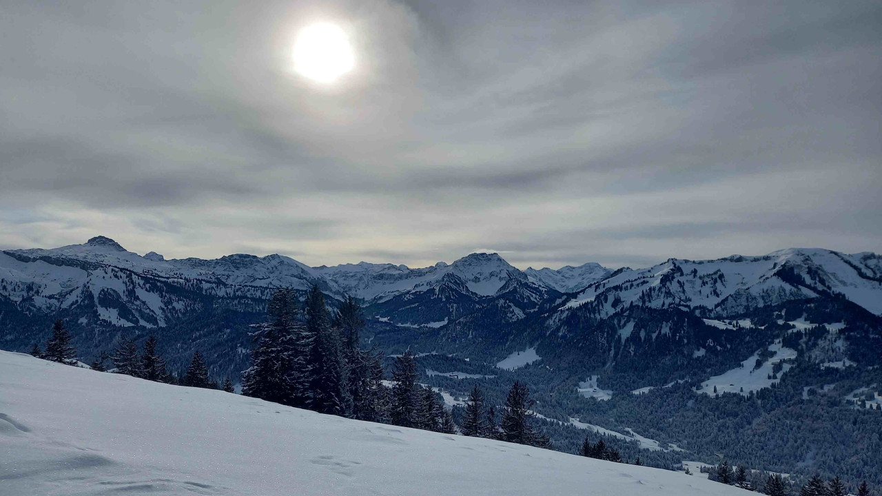 Modellregion Bregenzerwald – zukunftsfähiger Klima- und Naturschutz in Vorarlberg