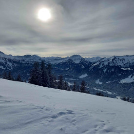 Modellregion Bregenzerwald – zukunftsfähiger Klima- und Naturschutz in Vorarlberg