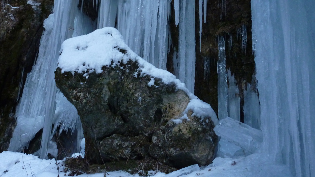 Modellregion Bregenzerwald – zukunftsfähiger Klima- und Naturschutz in Vorarlberg