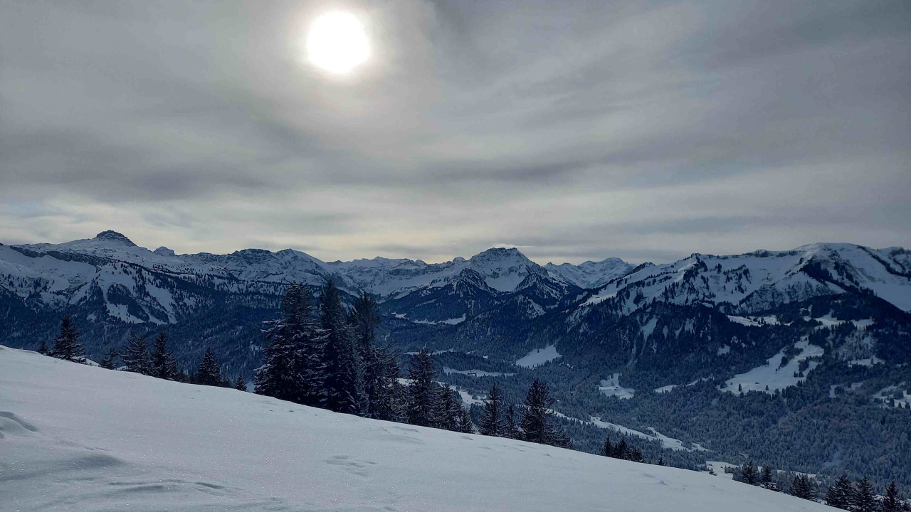 Modellregion Bregenzerwald – zukunftsfähiger Klima- und Naturschutz in Vorarlberg