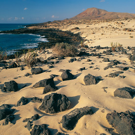 Fuerteventura - eine Insel am Rande Europas zwischen Tourismus, Nachhaltigkeit und Ressourcen