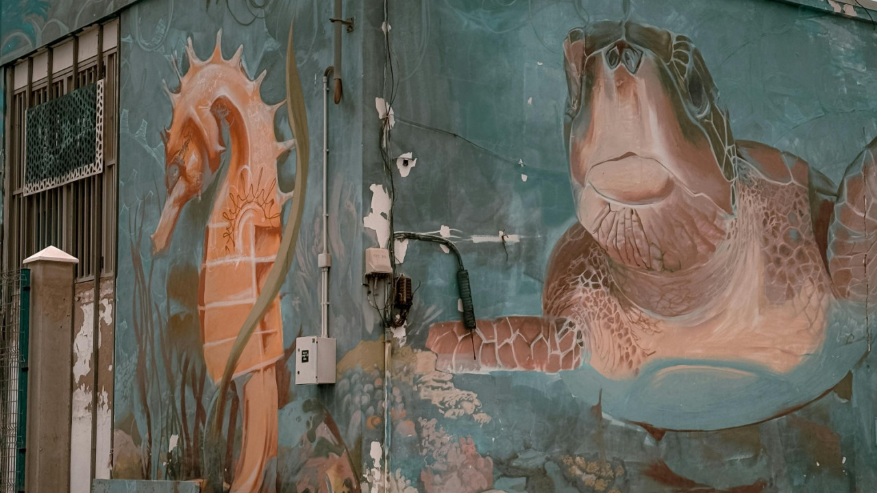 Fuerteventura - eine Insel am Rande Europas zwischen Tourismus, Nachhaltigkeit und Ressourcen