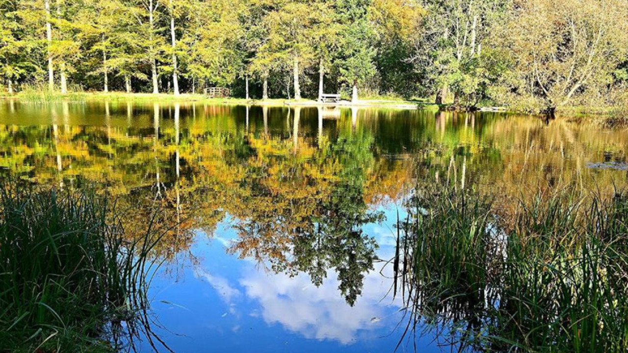 Nationalpark Harz - Schutz für die einzigartige Wald-Landschaft am Brocken