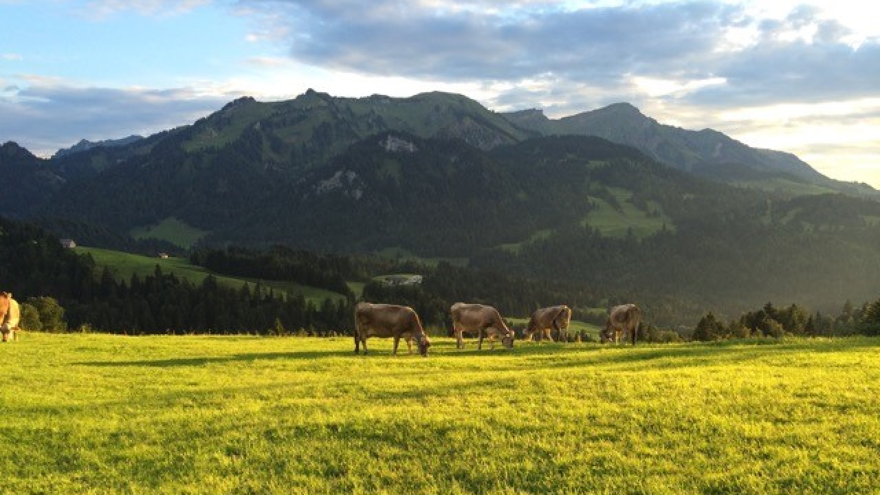 Modellregion Bregenzerwald – zukunftsfähiger Klima- und Naturschutz in Vorarlberg