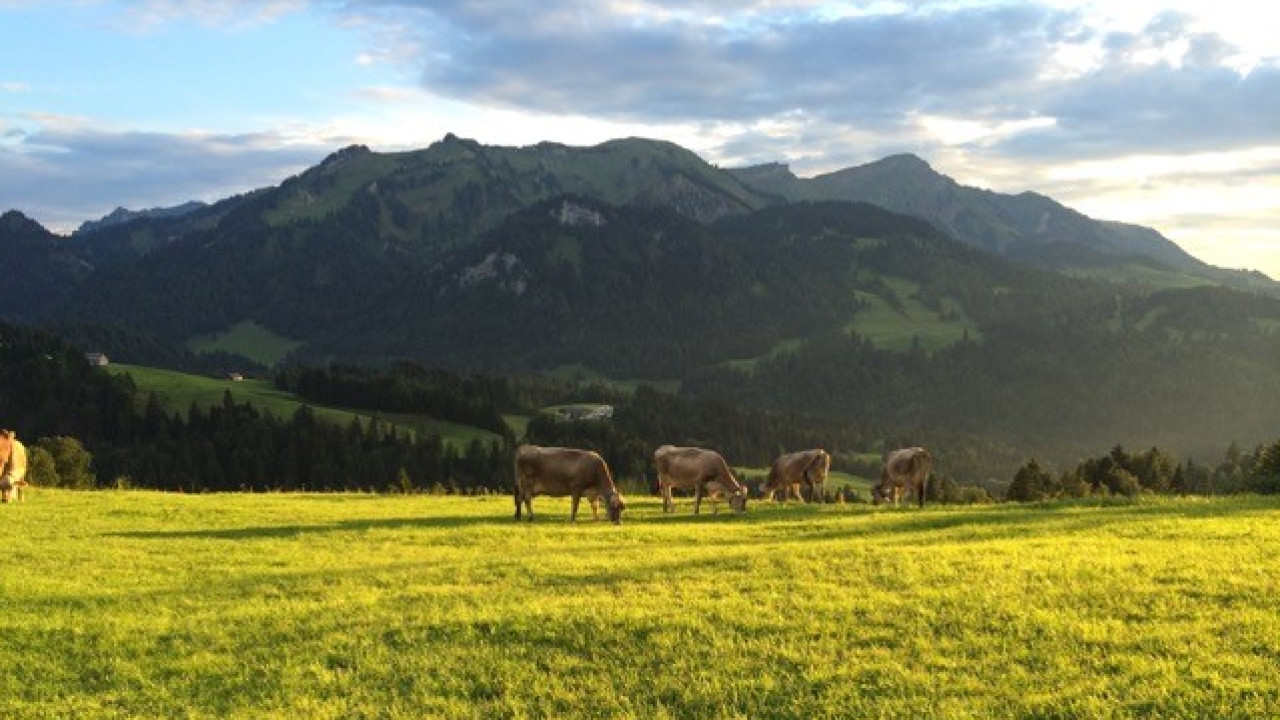 Modellregion Bregenzerwald – zukunftsfähiger Klima- und Naturschutz in Vorarlberg
