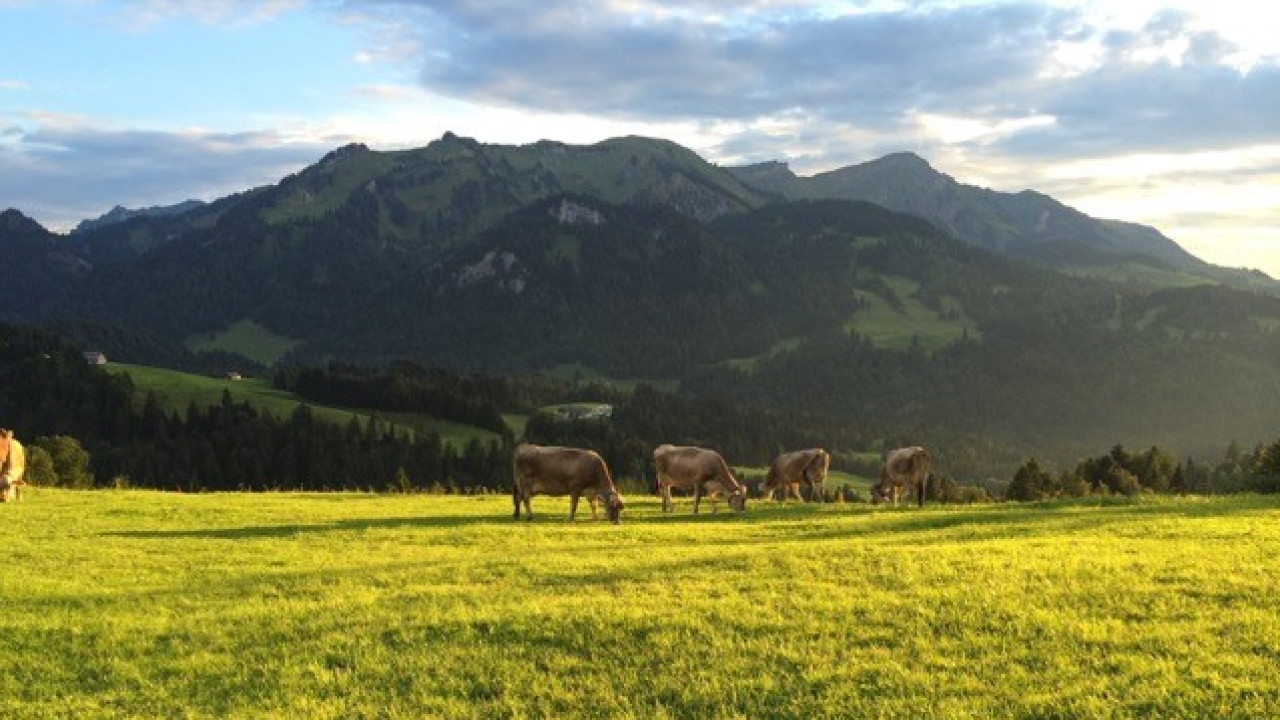 Modellregion Bregenzerwald – zukunftsfähiger Klima- und Naturschutz in Vorarlberg