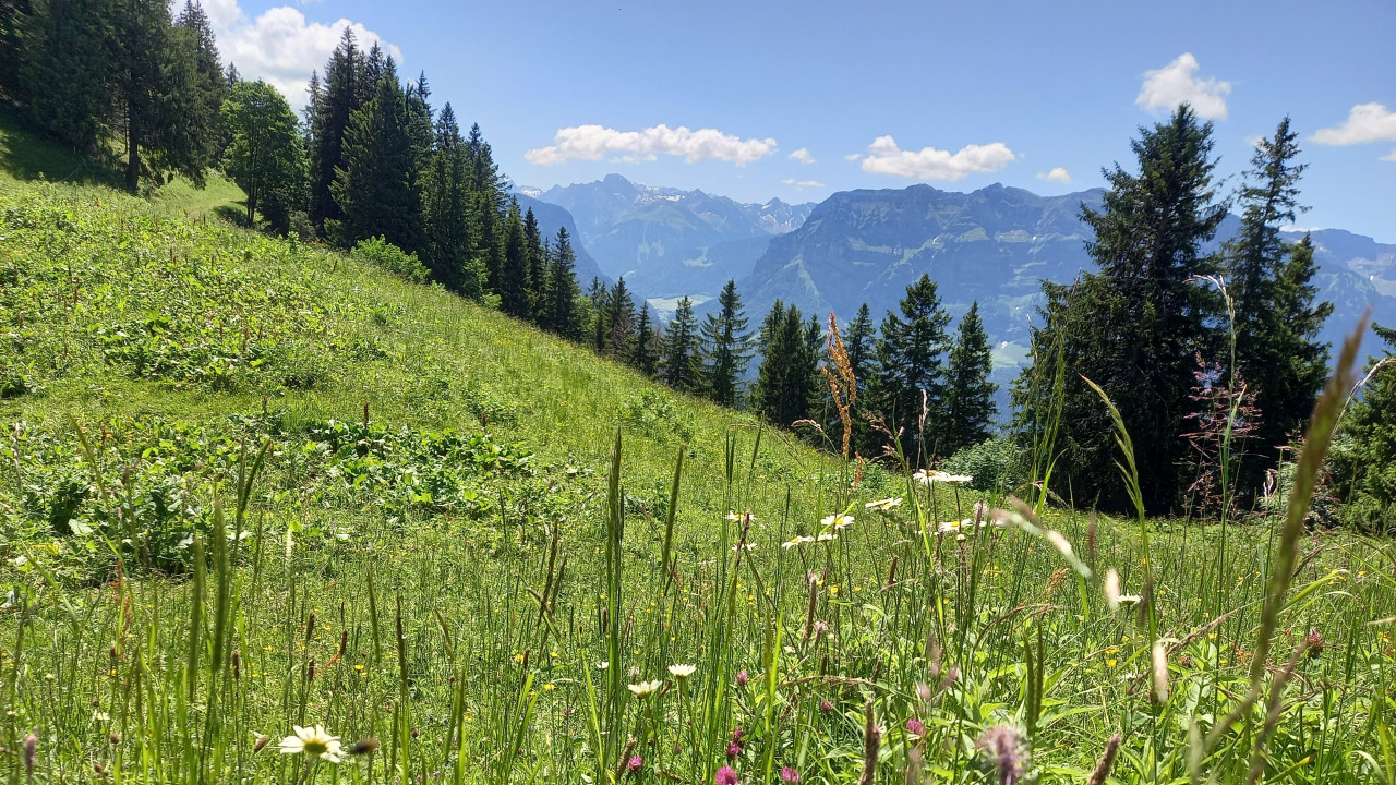 Klimaanpassungsregion Bregenzerwald – enkeltaugliche Strategien in den Alpen