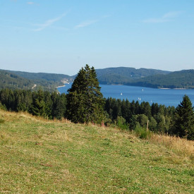 Naturpark Südschwarzwald - 