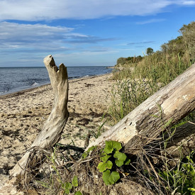Boltenhagen und das Grüne Band am Ostseestrand