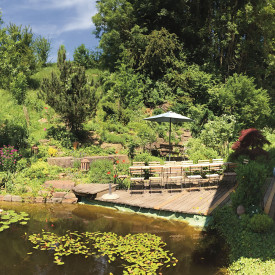 Zurück zur Gelassenheit: Arbeit mit Körper, Atem und Nervensystem mit Restorativem Yoga