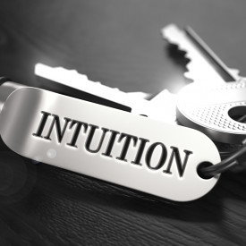 Intuition oder Intellekt? Wie treffe ich meine Entscheidungen?