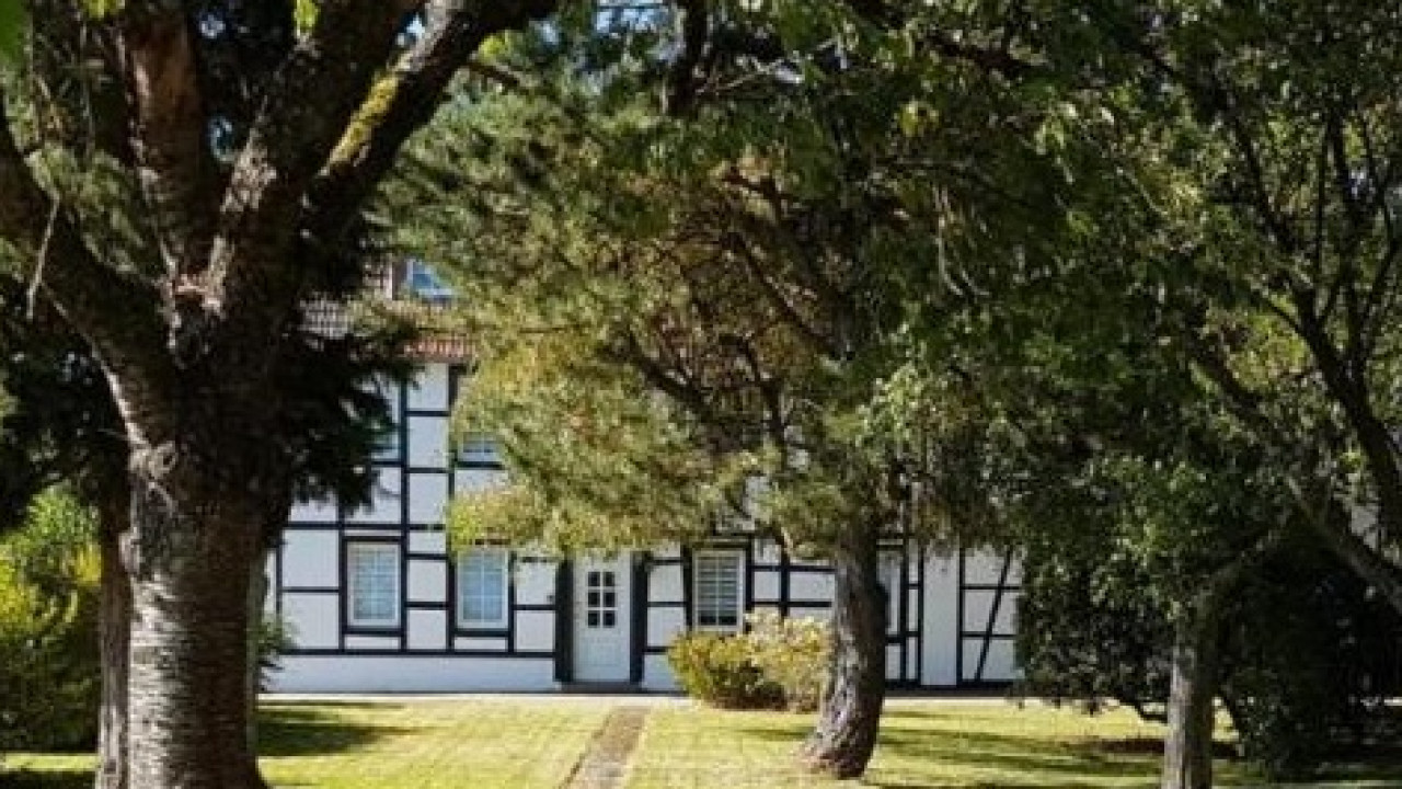 Vital und Dynamisch mit Qi-Fa-Yo und visueller Fitness in Beruf und Alltag