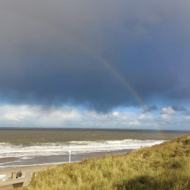 Norderney: Eine ostfriesische Insel zwischen Naturschutz und menschlicher Nutzung