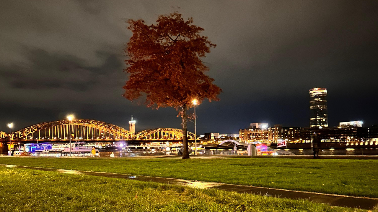 Köln zwischen Großstadt, Naturschutz und Nachhaltigkeit