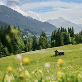 Nachhaltigkeit im Allgäu – Was erfolgreiche Projekte gemeinsam haben